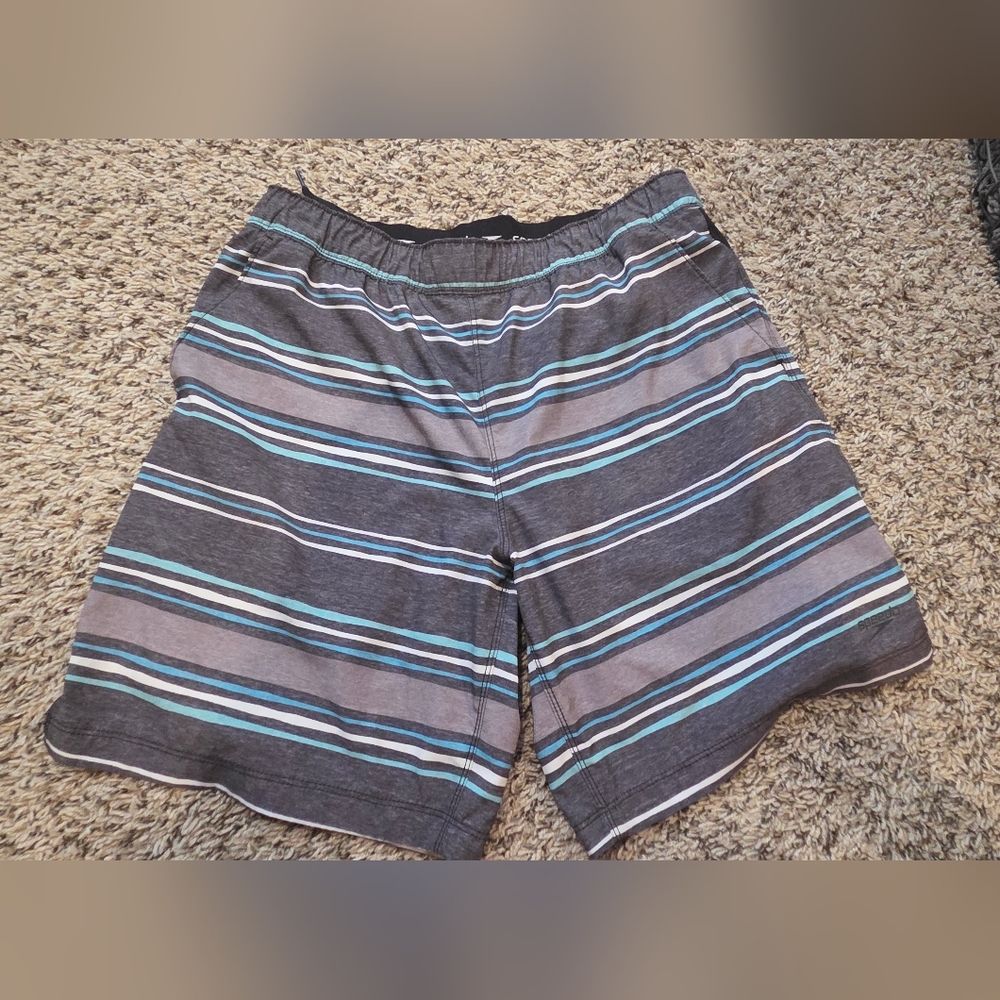 Speedo Gray and Blue Striped Swim Trunks Size Medium